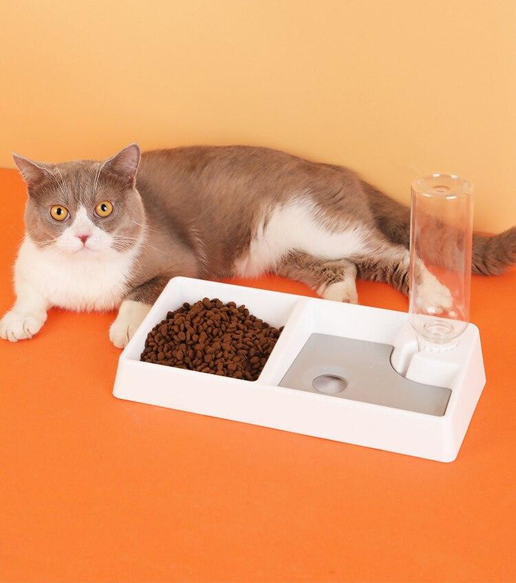 Cat Bowl Dog Water Feeder Bowl Cat Kitten Drinking Fountain Food Dish